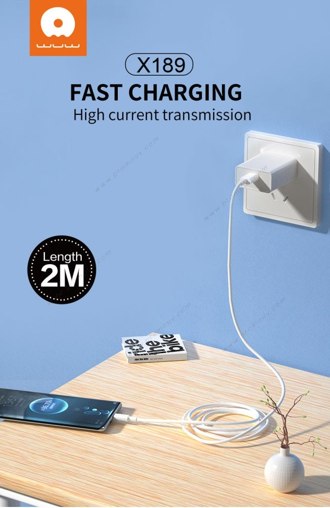 X189 Câble de Charge Rapide 60W &Transfert Data Type-C vers Type-C 2 Mètres